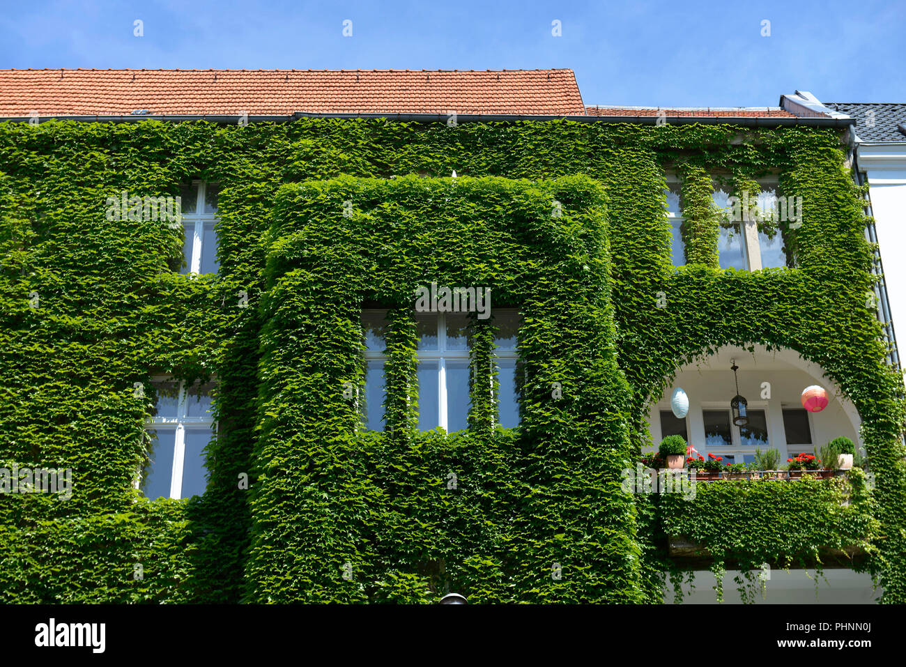 Fassadenbegruenung, Regensburger Strasse, Berlín Schoeneberg, Deutschland Foto de stock