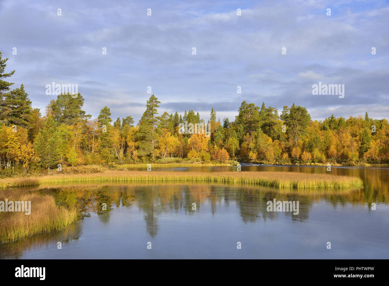 Reserva natural rogen en Suecia Foto de stock