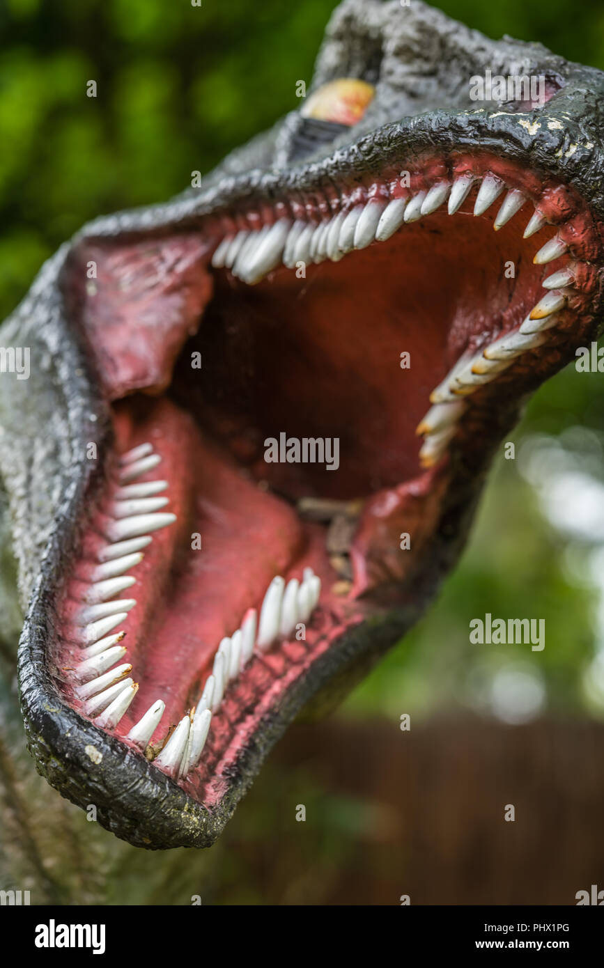 Cerca de Velociraptor dientes afilados Foto de stock