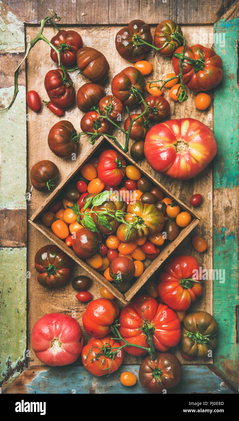 -Plano de laicos coloridos frescos tomates en bandeja, composición vertical Foto de stock