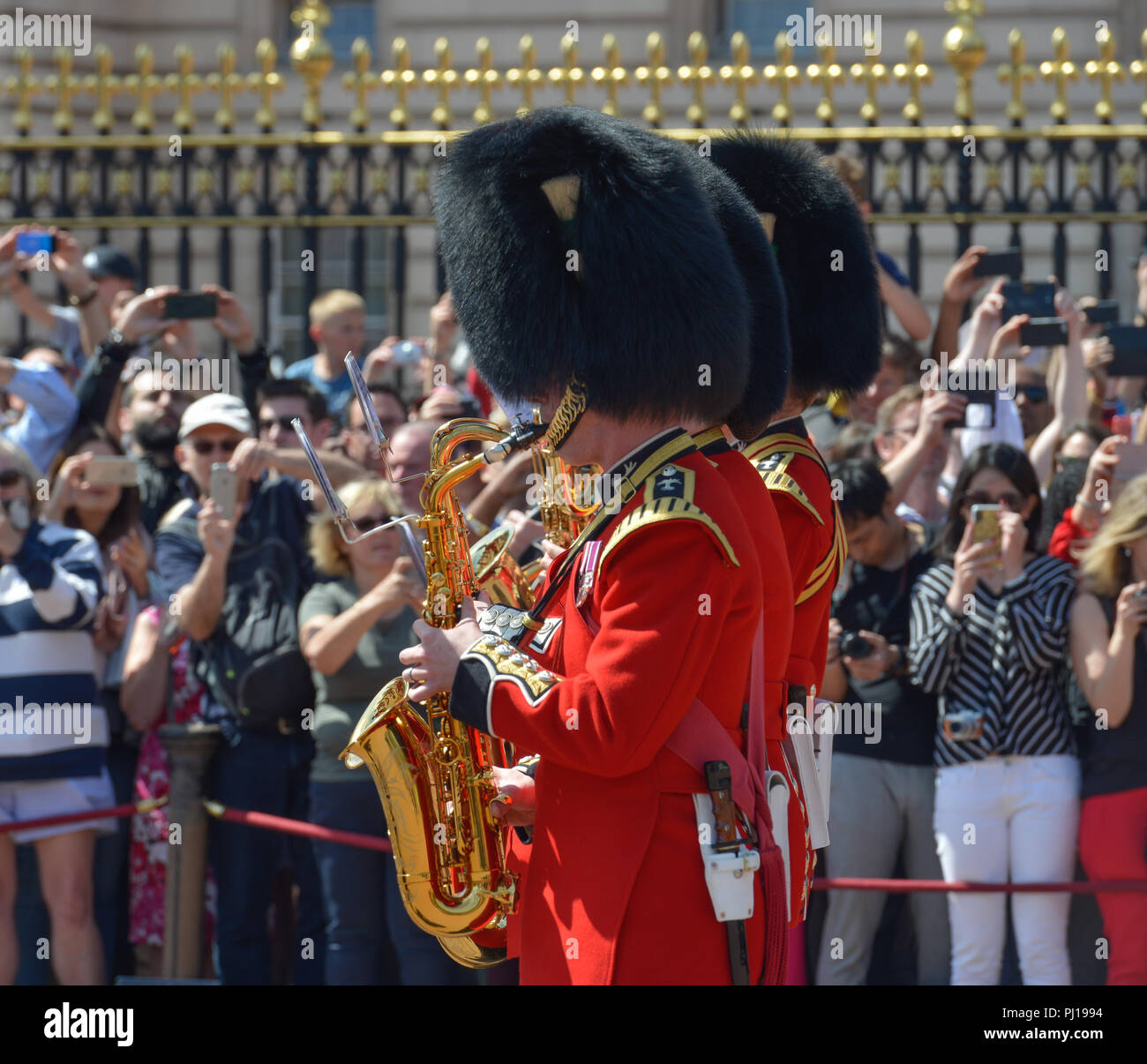 Banda, el cambio de guardia, el Palacio de Buckingham, Londres, Inglaterra, Grossbritannien Foto de stock