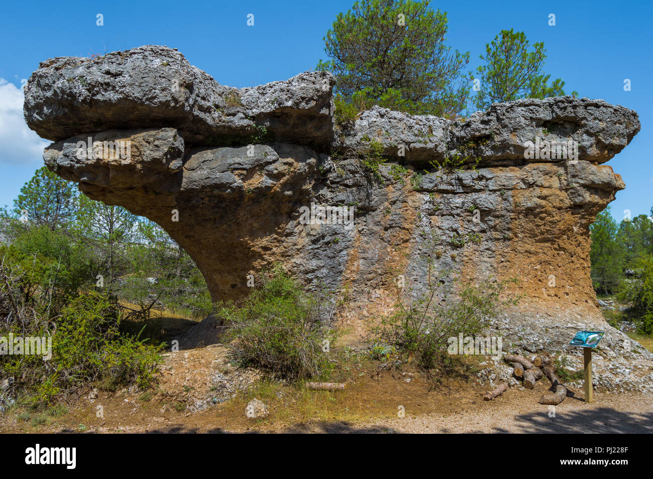 Roca de "El Perro" en la Ciudad Encantada (Ciudad Encantada) de Cuenca,  España. Lugar con formaciones rocosas similares a las formas de las cosas  formados por la erosión Fotografía de stock -