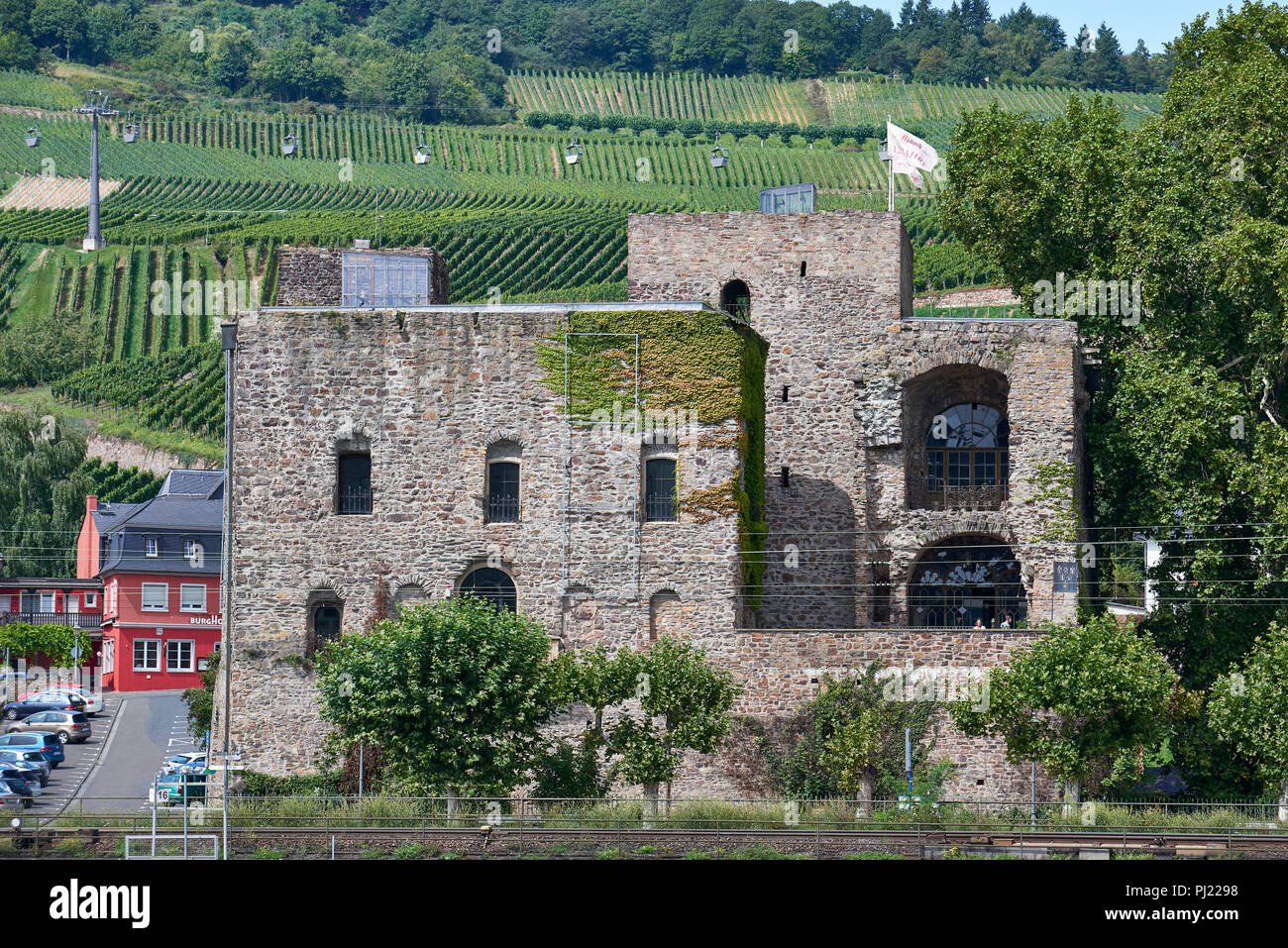 Castillo (Brömsburg Niederburg) - construida circa 1000, antiguamente un castillo aduanero ahora un Rheingau y museo del vino, Rüdesheim am Rhein Foto de stock