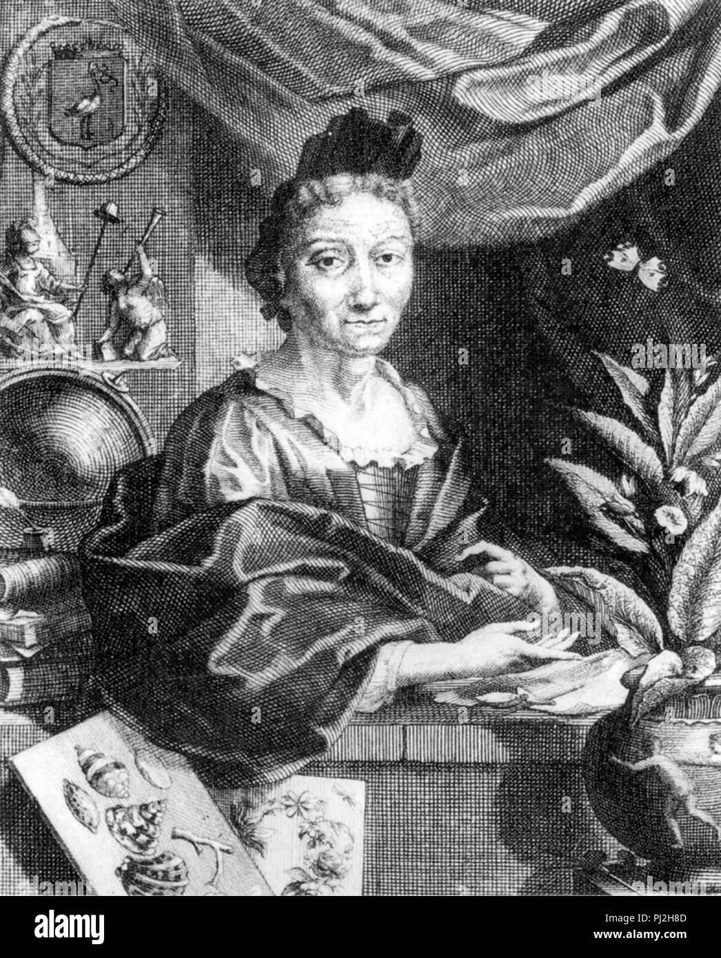 Maria Sibylla Merian (1647 - 1717) naturalista alemán y el ilustrador científico Foto de stock
