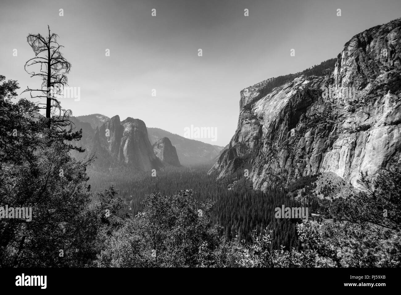 Una vista mirando hacia abajo al valle de Yosemite con el Capitan de la derecha en el Parque Nacional Yosemite. El humo de los incendios silvestres perdura en el valle. Foto de stock