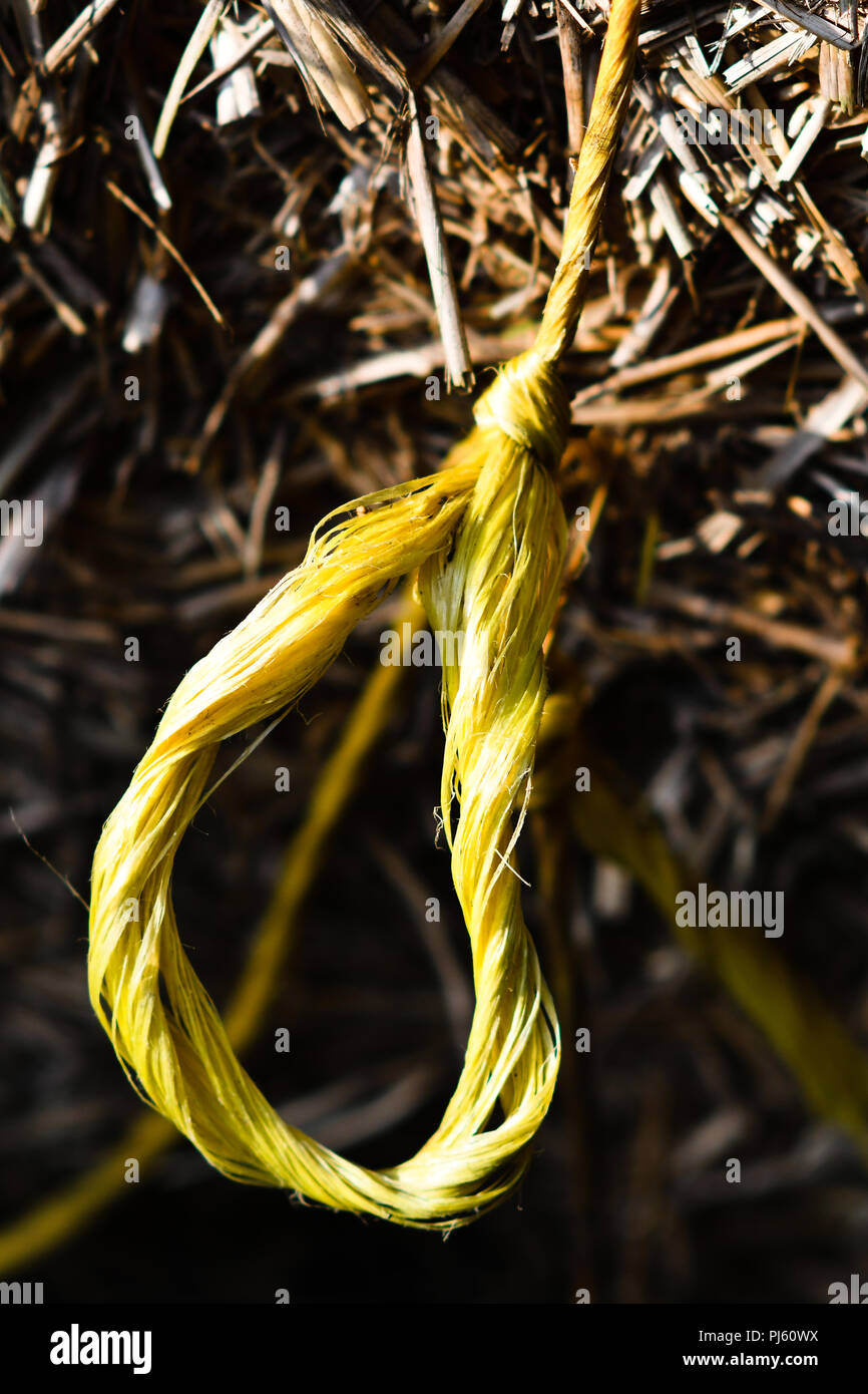 Nudo atado con cuerda de nylon amarillo Foto de stock