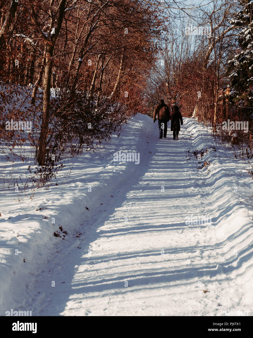 Pareja caminando por un sendero escarpado cubierto de nieve a través de un bosque en invierno Foto de stock