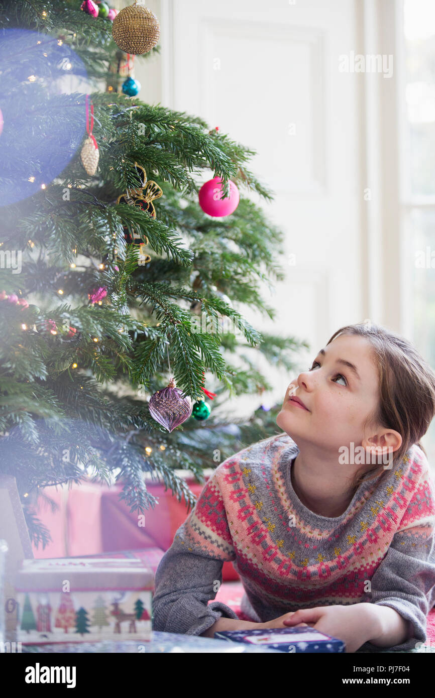 Curiosa chica con don mirando hacia arriba en el árbol de Navidad Foto de stock