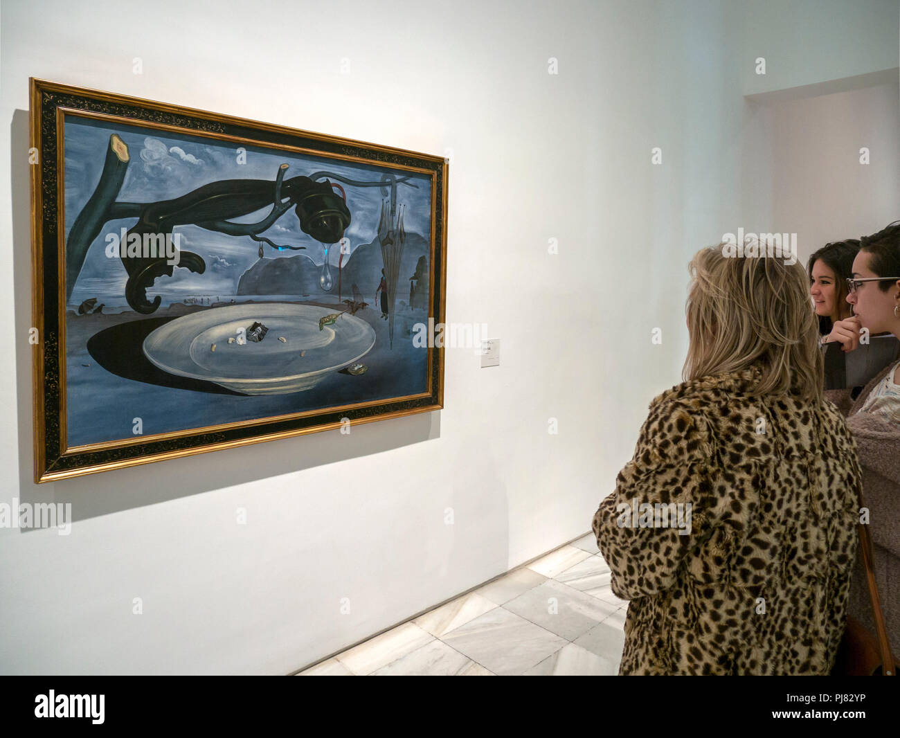 Salvador Dalí, El enigma de Hitler. El Museo Reina Sofía. Madrid. España  Fotografía de stock - Alamy