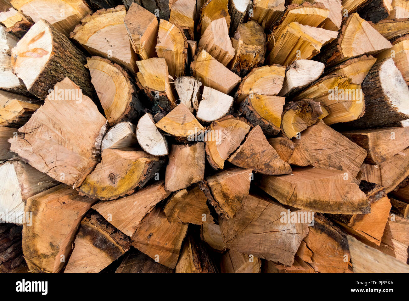 Pila de fuego mezclado el secado de la madera para su uso durante el próximo invierno. Foto de stock