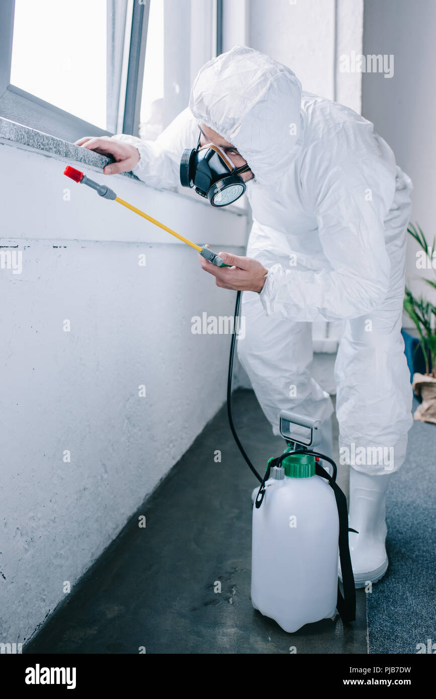 Trabajador de control de plagas en la fumigación con pesticidas bajo alféizar en casa de stock - Alamy