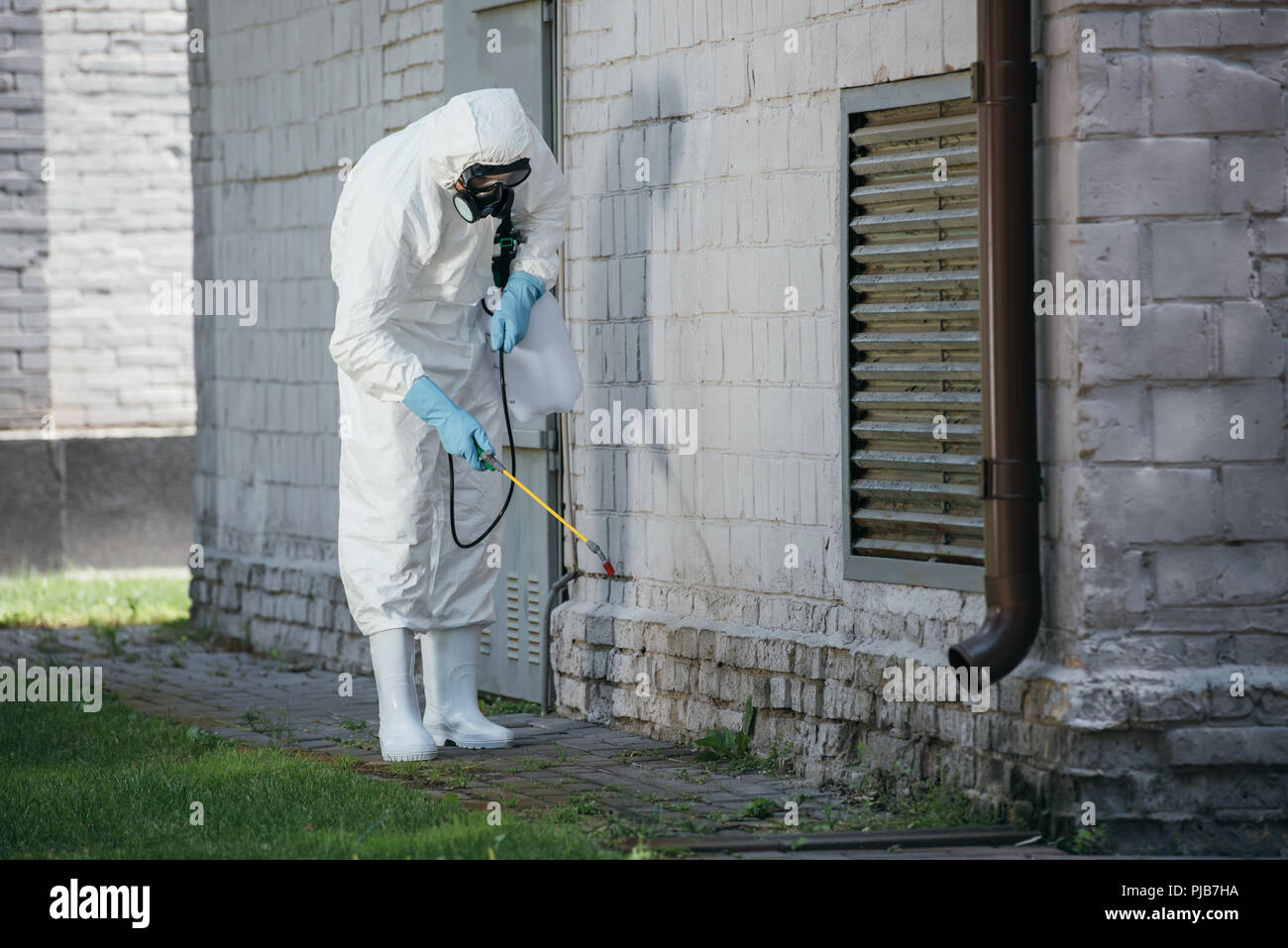 Trabajador de control de plagas fumigación con pesticidas con el pulverizador en la pared del edificio Foto de stock