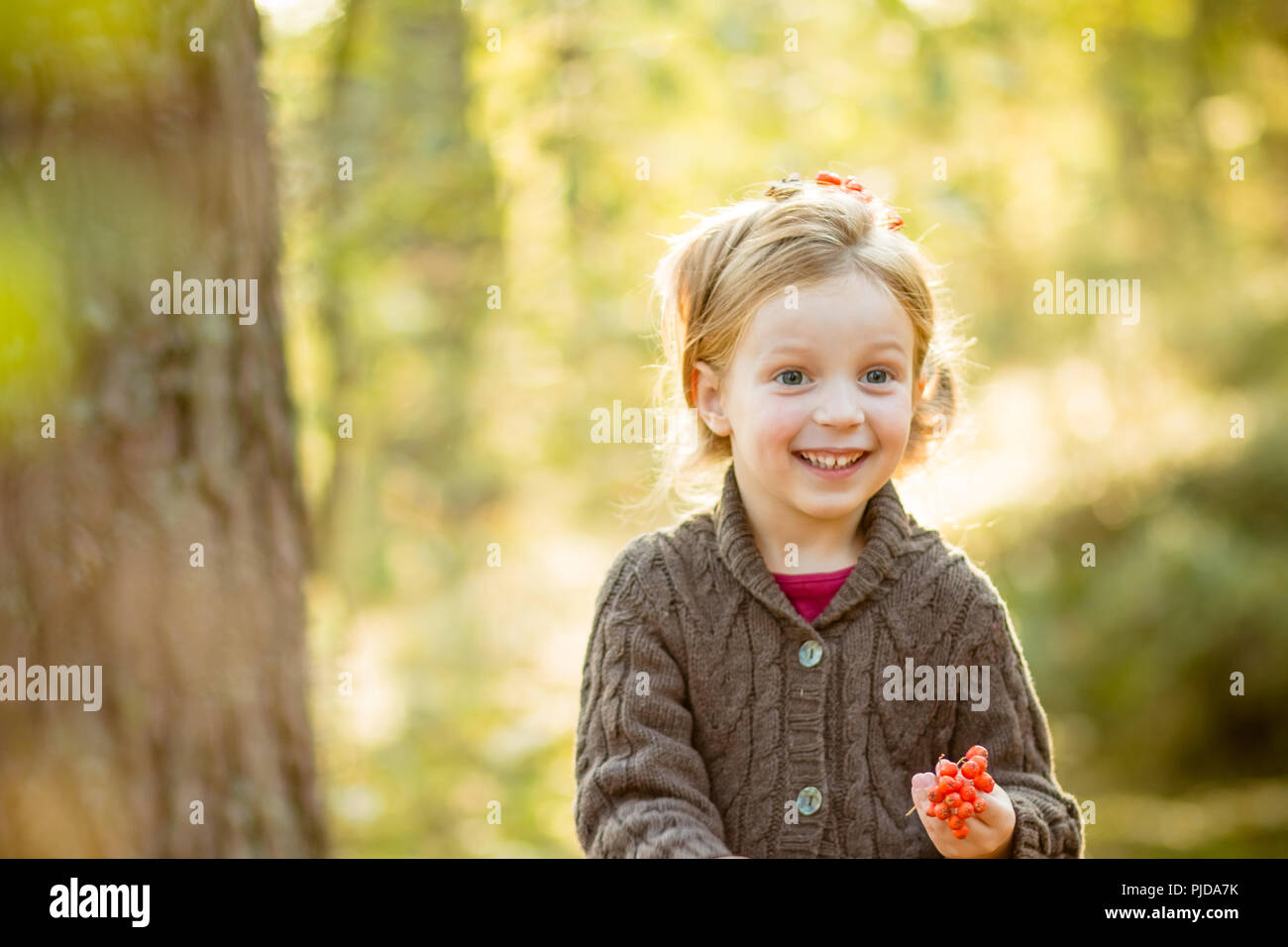 Vestida de niño lindo suéter tejido, sosteniendo serbas. El otoño, las  hojas rojas y amarillas.lindo niño niña jugando rowan berry cordones en el  soleado jardín de otoño.Ella sostiene una naranja rowan en