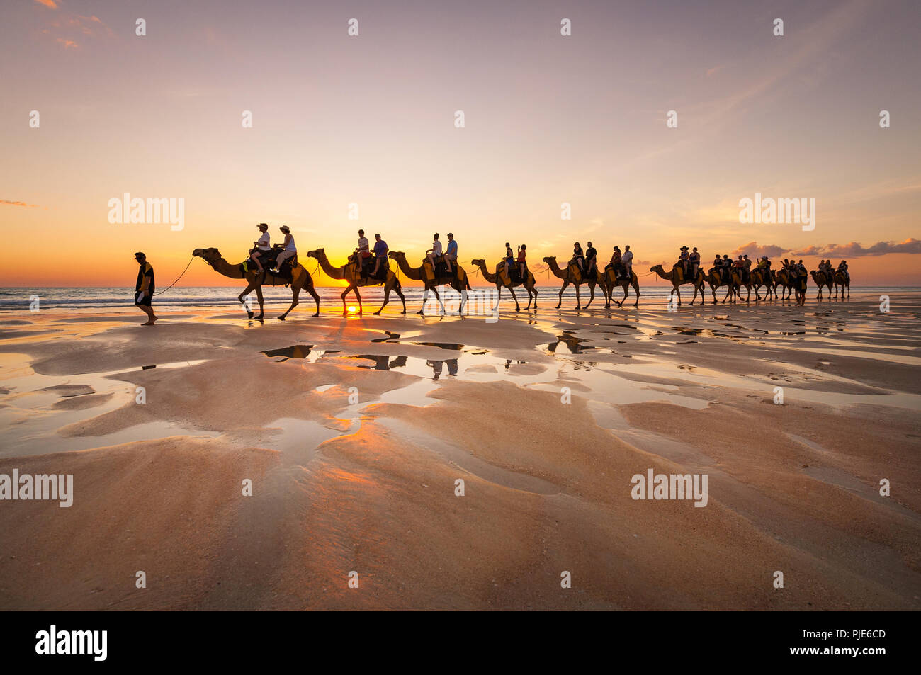 Paseo en Camello en la famosa playa Cable Beach en Broome. Foto de stock