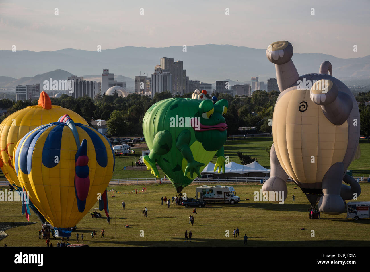 Cerdo Carrera Cava Reno, Nevada, EE.UU. 6 Sep, 2018. Jueves, 6 de septiembre de 2018.El lanzamiento de globos de aire caliente desde el Rancho San Rafael Parque Regional en Reno, Nevada, antes del inicio oficial Cerdo Carrera Cava Reno, Nevada, EE.UU. 6 Sep, 2018. Jueves, 6 de septiembre de 2018.El lanzamiento de globos de aire caliente desde el Rancho San Rafael Parque Regional en Reno, Nevada, antes del inicio oficial