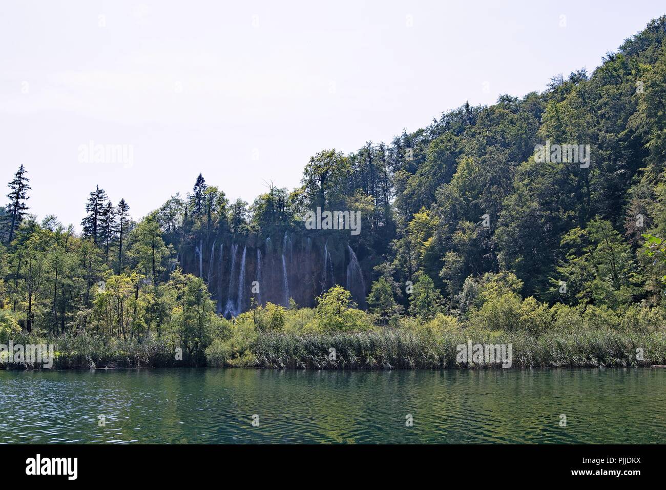 Parque Nacional de los Lagos de Plitvice es Croacia más popular atracción de visitantes y lugar de belleza natural protegida. Foto de stock