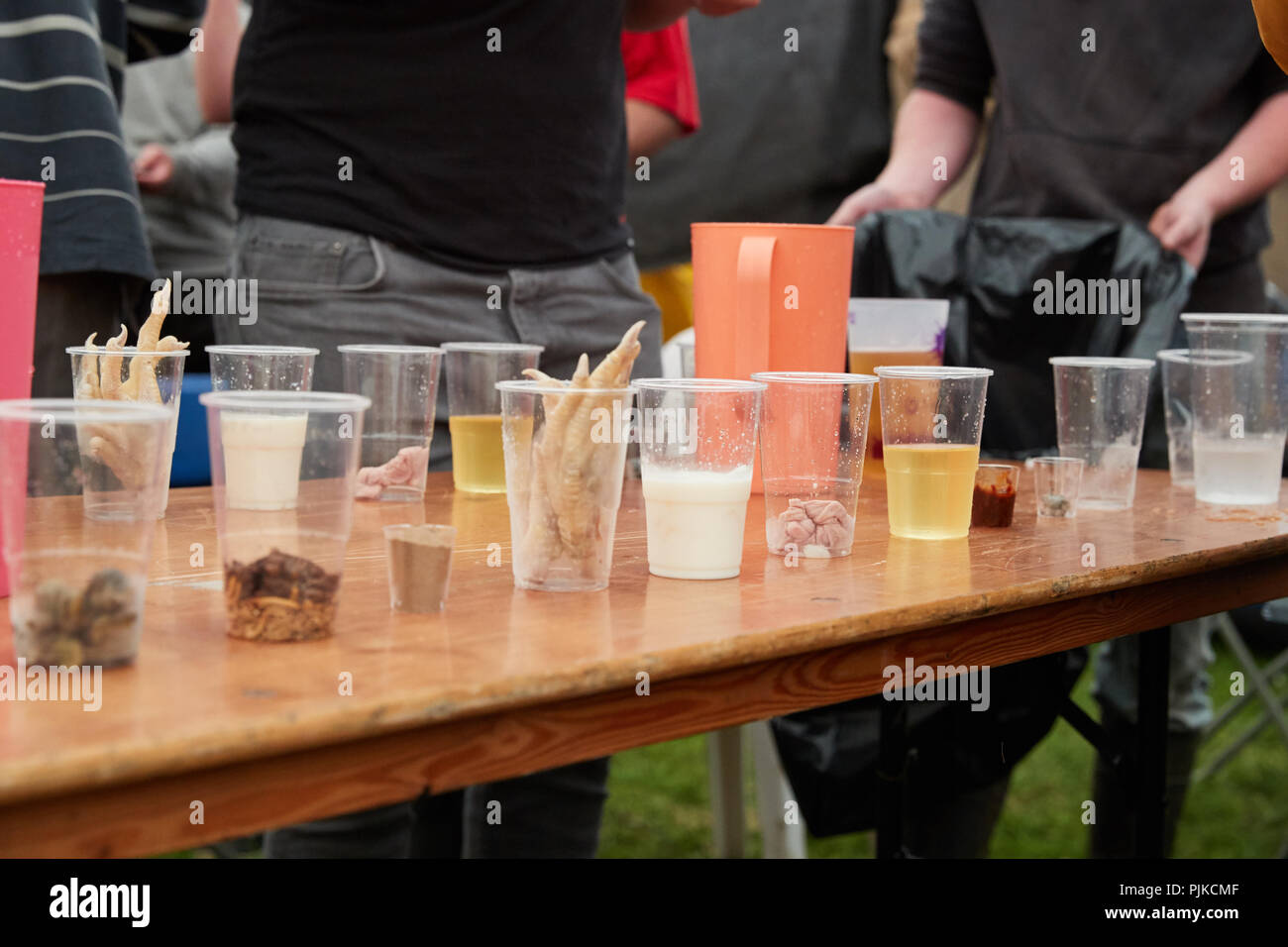 Vasos de plástico transparente que contienen alimentos repugnante para un concurso de comer desafío en la llanura juegos, Thorney, Somerset, Inglaterra Foto de stock