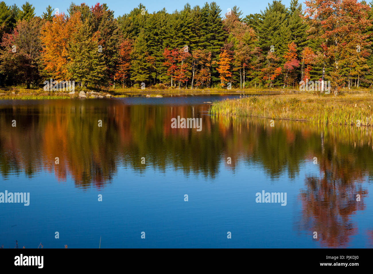 Soy Herbstwald Mills estanque des Canterbury Shaker Village Foto de stock