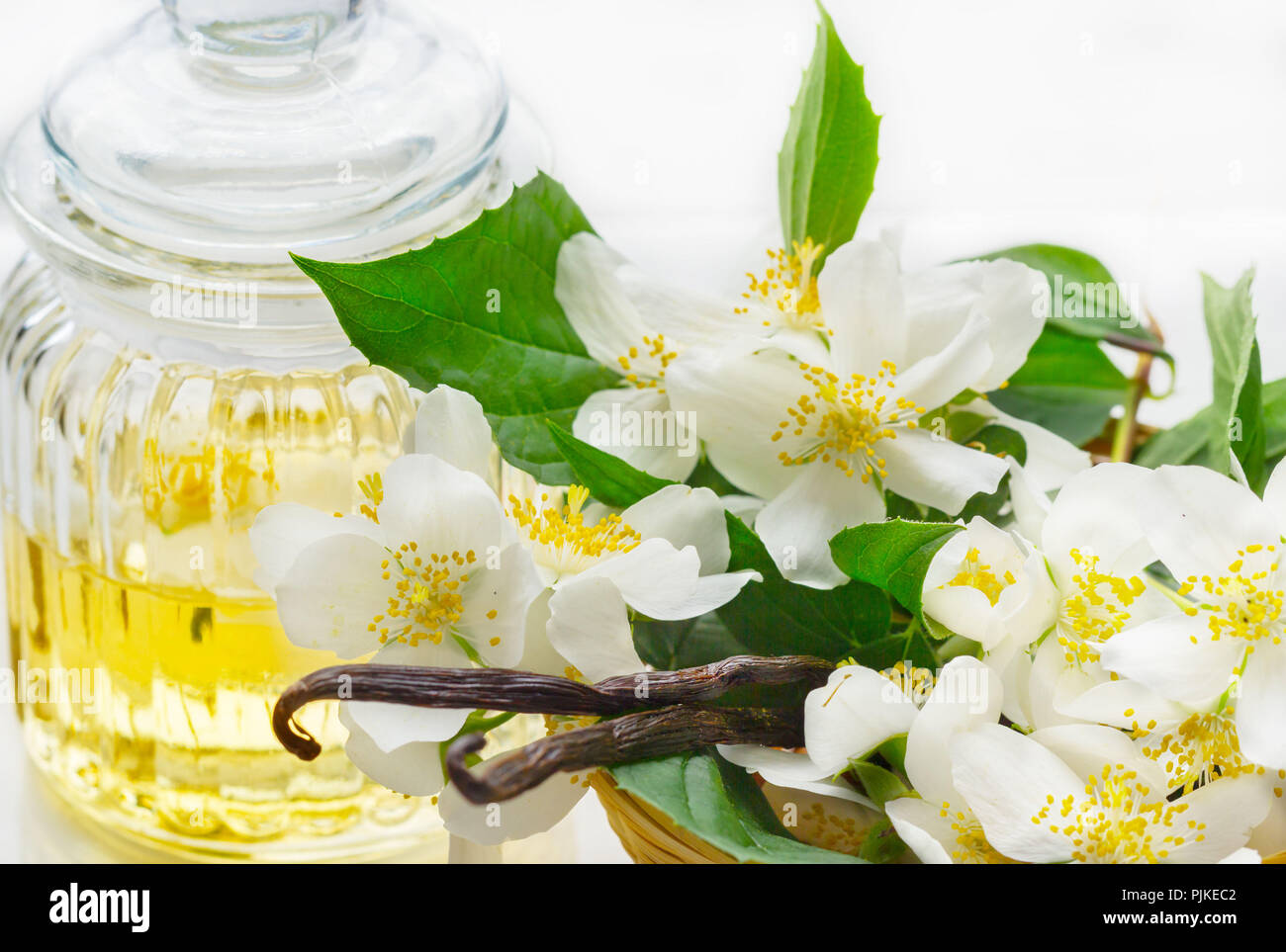 Flores de jazmín, aceite de jazmín y vainilla Foto de stock