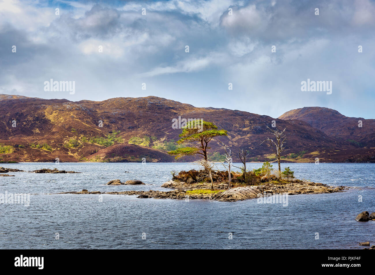 Pequeñas islas de Loch Assynt en las Highlands escocesas cerca del castillo de Ardvreck Foto de stock