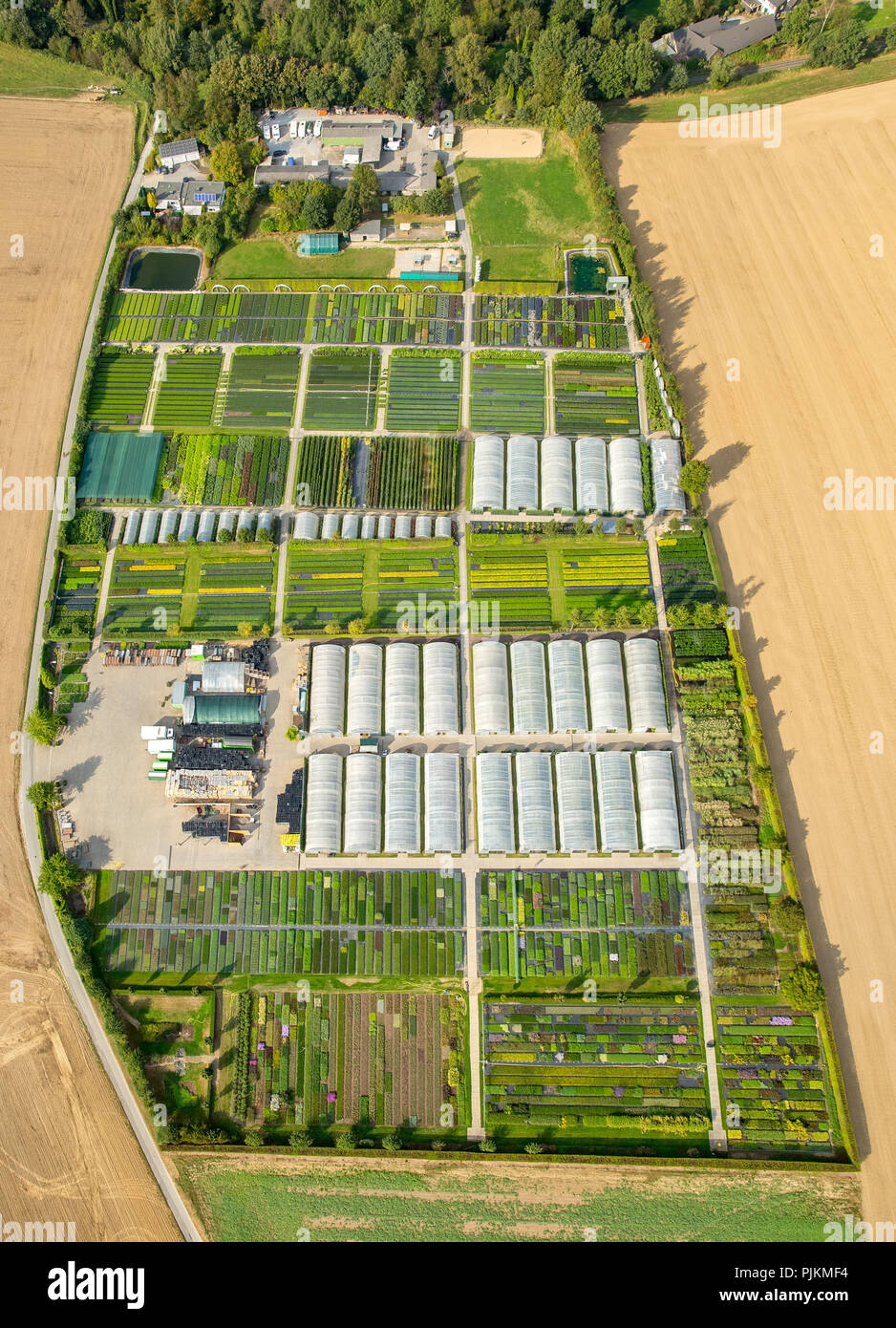 Vista aérea, guardería Kunze, horticultura, invernaderos, Heiligenhaus, área de Ruhr, Renania del Norte-Westfalia, Alemania Foto de stock