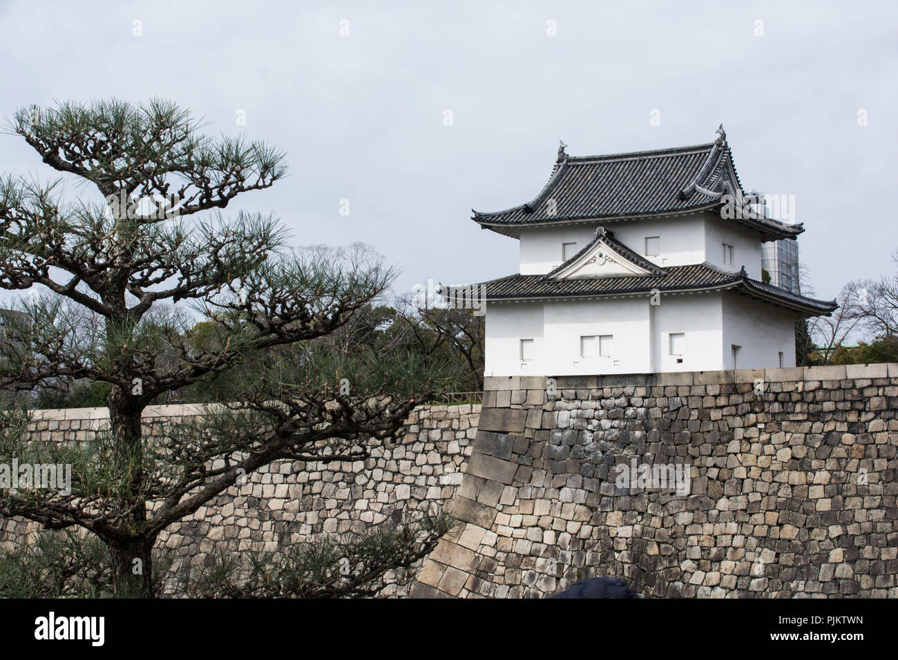 Muralla del Castillo del castillo de Osaka, Japón Foto de stock