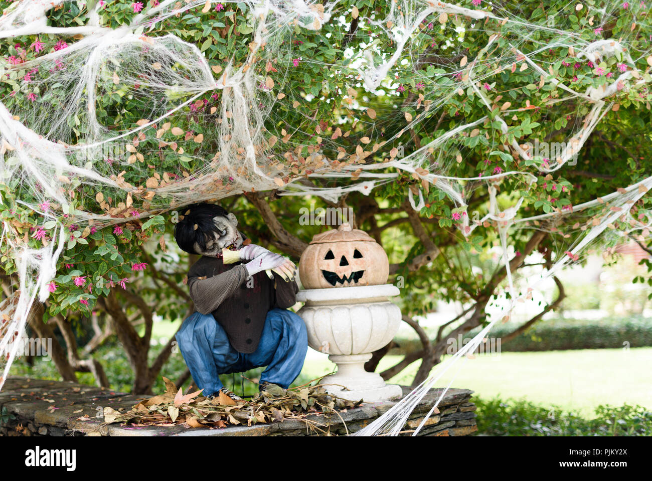 Delante de la casa de halloween decoraciones Foto de stock