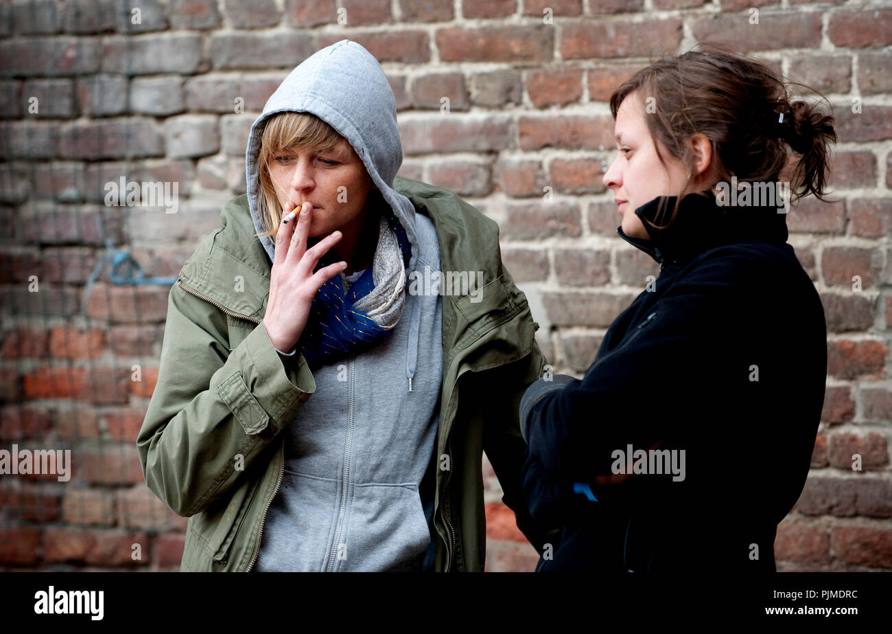 Rundskop fotografías e imágenes de alta resolución Alamy