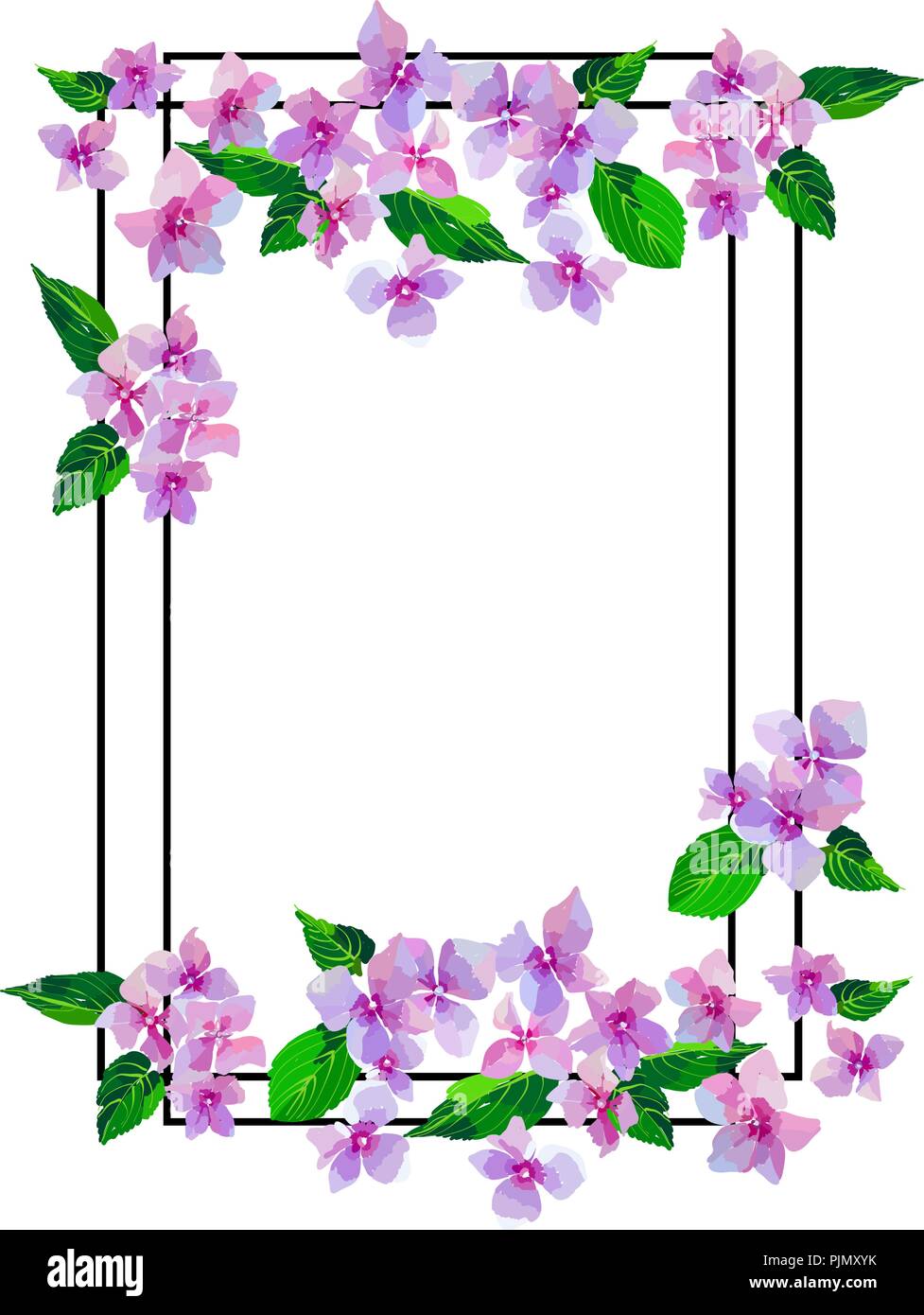 Jardín Rosa Hortensia flores. Ilustración botánica en estilo dibujados a  mano. Lila flores aisladas. Vector diseño floral para cosméticos, perfumes  producto Imagen Vector de stock - Alamy