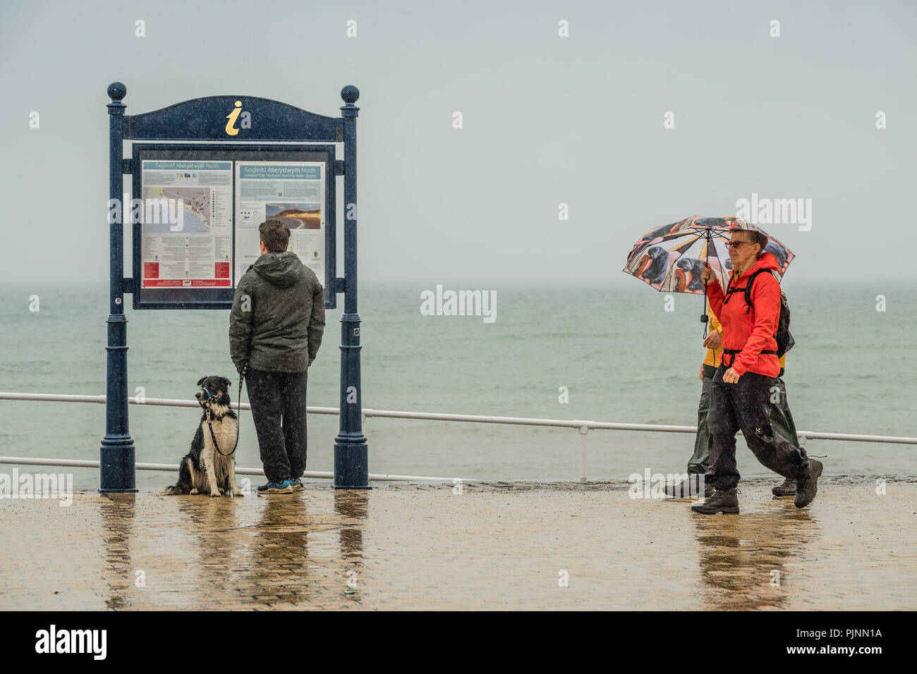Gales Aberystwyth UK, el sábado 08 de septiembre de 2018 el clima del Reino Unido: La gente caminando bajo su paraguas y envuelto en contra de los elementos de un gris húmedo y triste por la mañana en la playa en Aberystwyth, en Cardigan Bay costa oeste de Gales Foto © Keith Morris / Alamy Live News Foto de stock