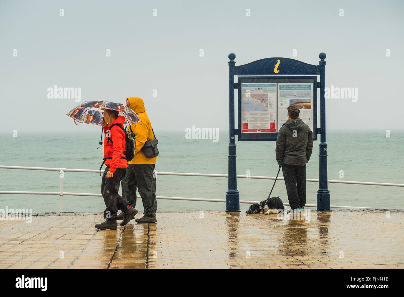 Gales Aberystwyth UK, el sábado 08 de septiembre de 2018 el clima del Reino Unido: La gente caminando bajo su paraguas y envuelto en contra de los elementos de un gris húmedo y triste por la mañana en la playa en Aberystwyth, en Cardigan Bay costa oeste de Gales Foto © Keith Morris / Alamy Live News Foto de stock