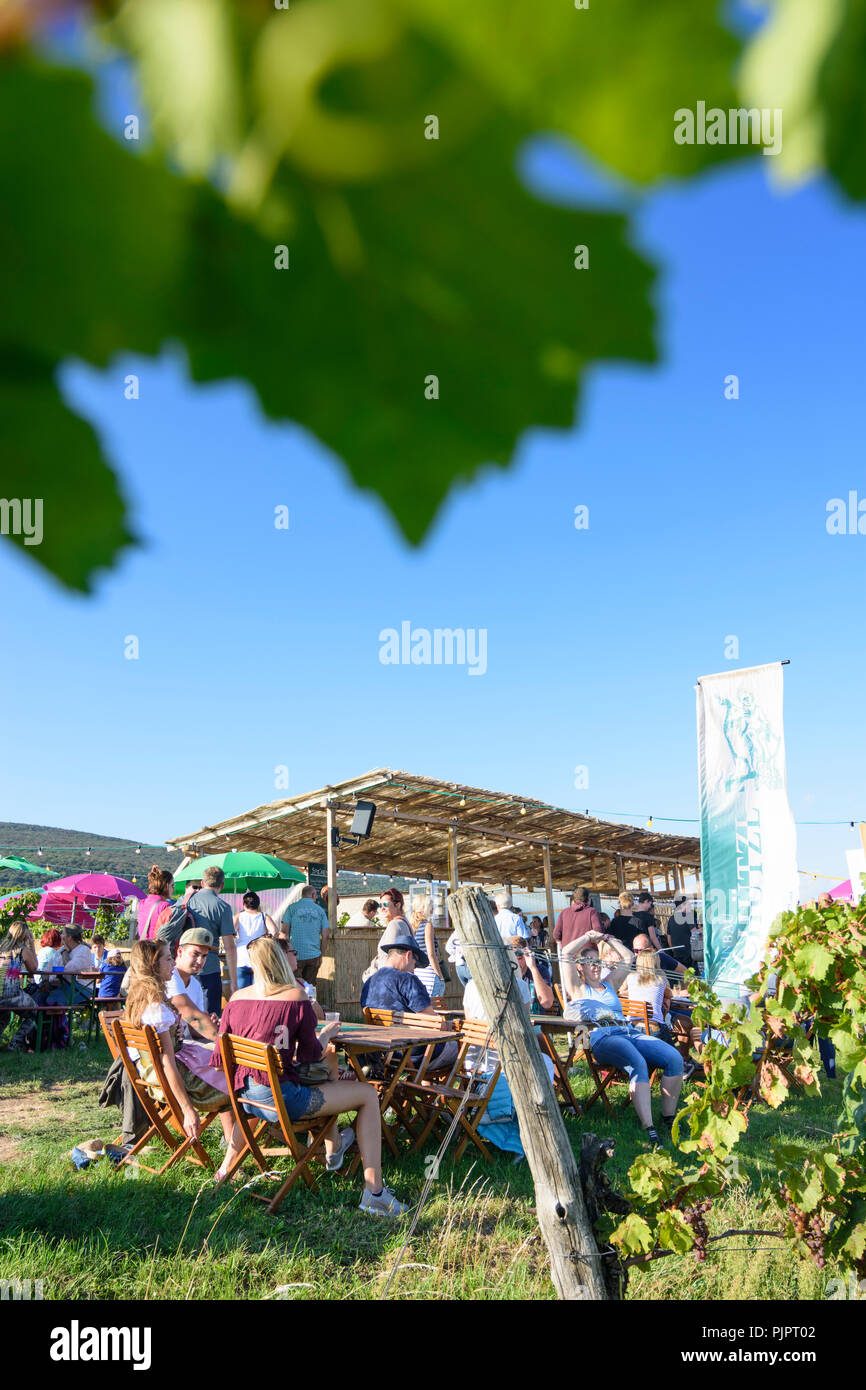 Pfaffstätten: viñedo, bar en el festival 'Genussmeile' a lo largo de 1ª ruta de senderismo de la tubería de agua de Viena, empresas vitícolas con el propio bares, visitantes, Wiener Foto de stock