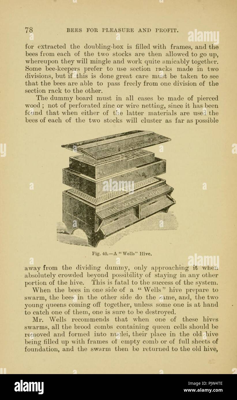 Las abejas por placer y beneficio (página 78) Foto de stock