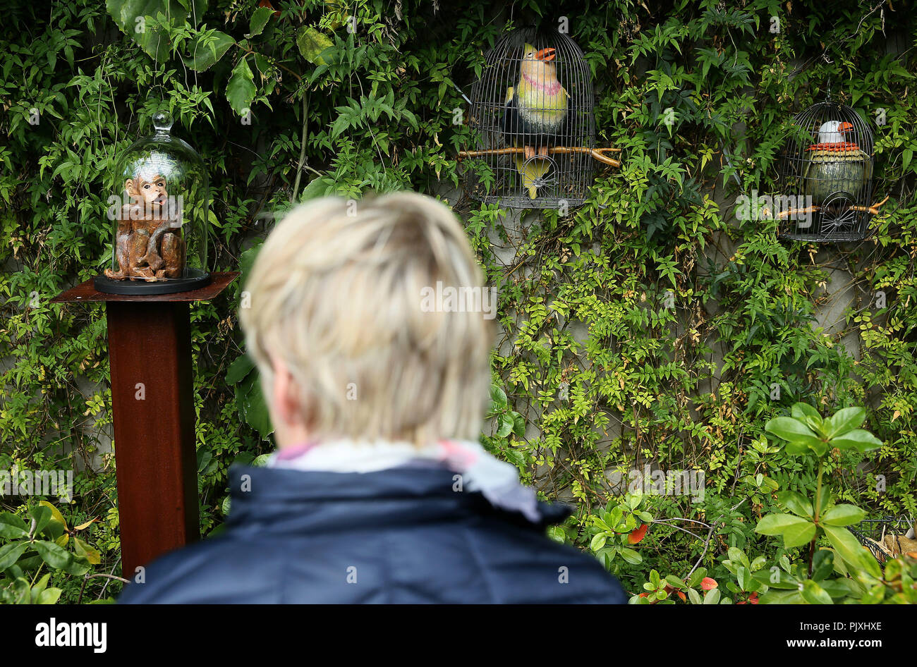 Una mujer deja de mirar "Especies amenazadas" por Jackie Bola, que forma parte de la escultura en el contexto de 2018 que está teniendo lugar en el Jardín Botánico Nacional de Dublín. Foto de stock