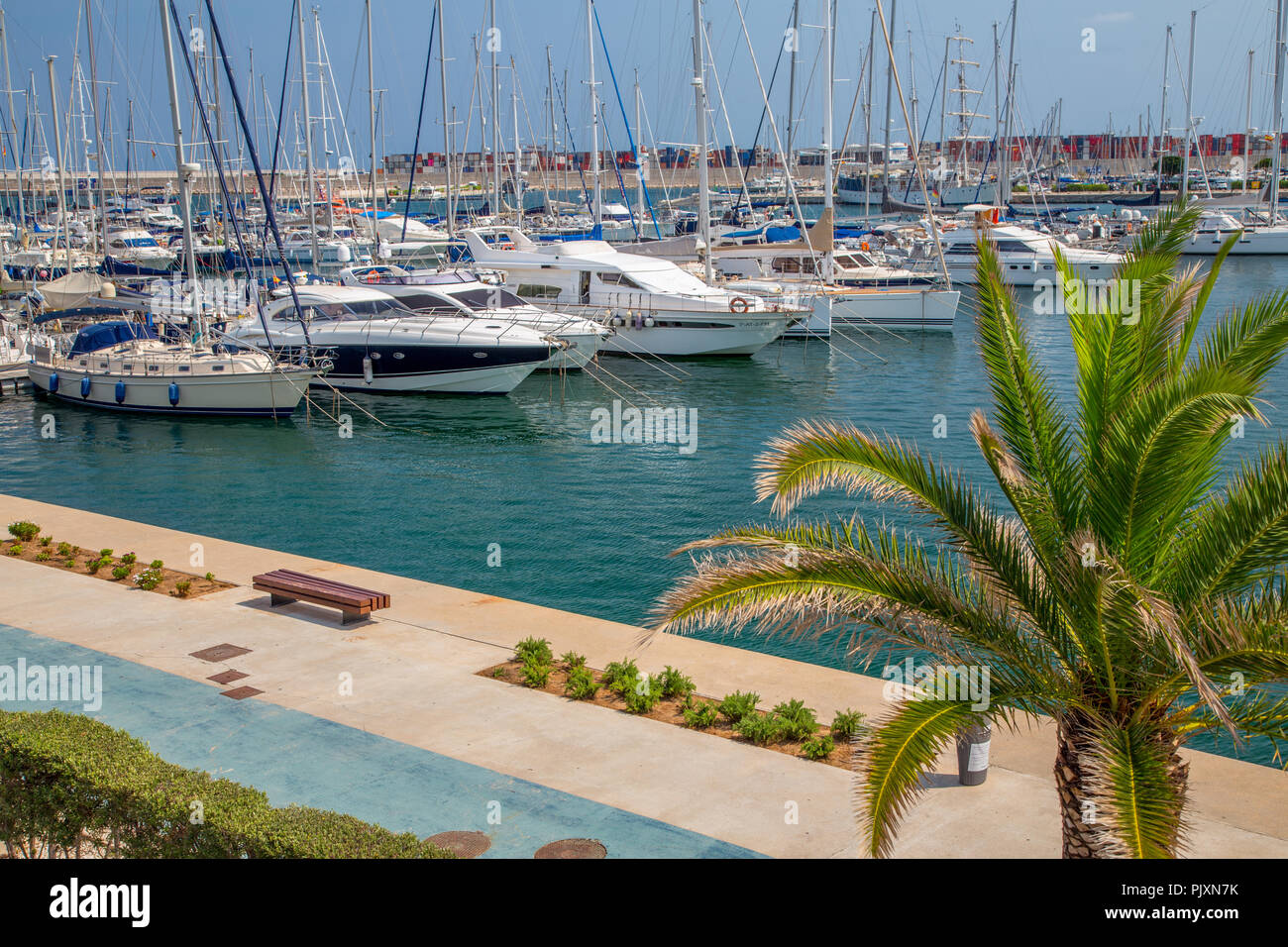 Construção De Veles E Aberturas Em Marina Valencia Espanha Foto Editorial -  Imagem de litoral, fachada: 237392336