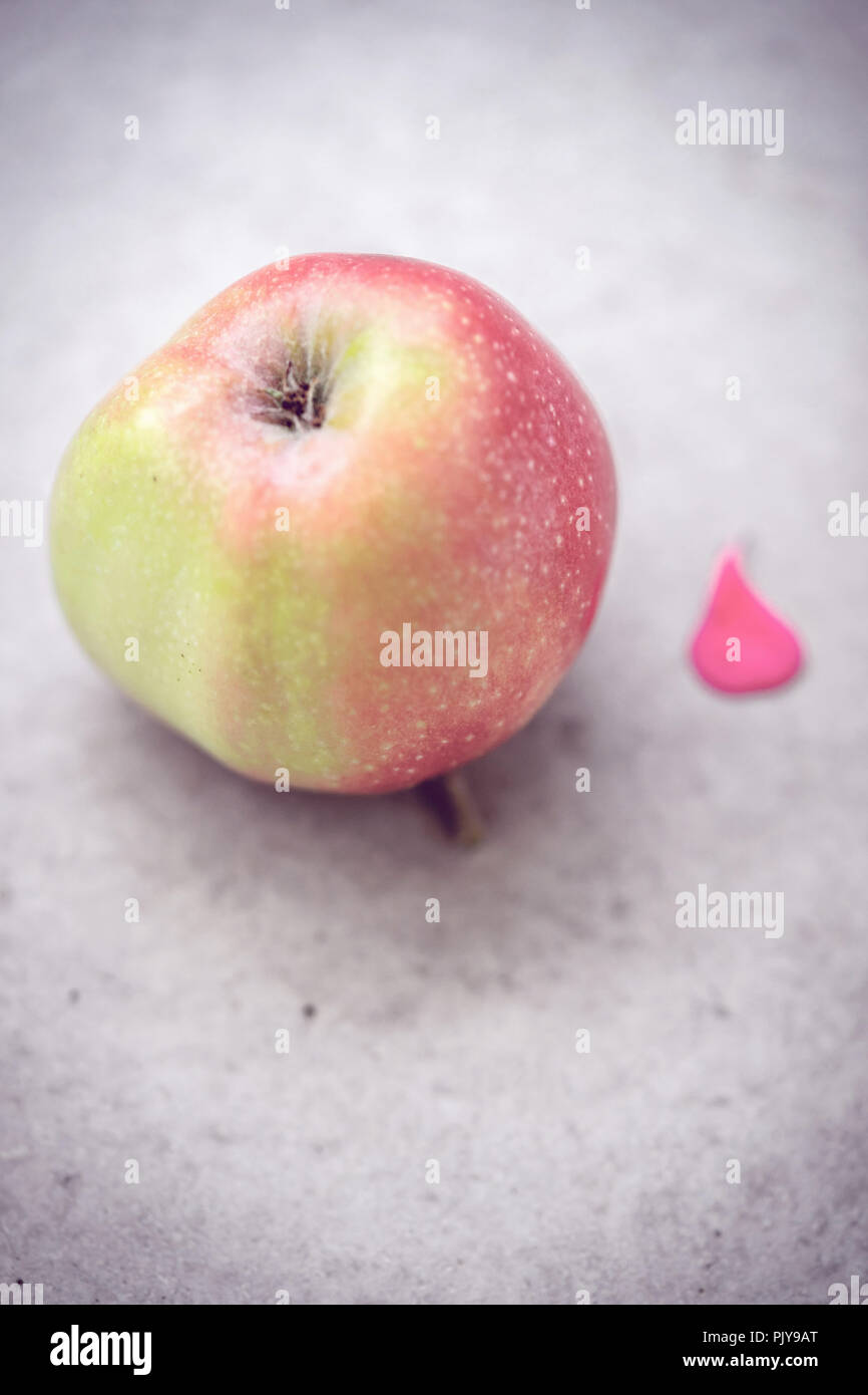 Still life escena de una manzana y una rosa rosa pétalo Foto de stock
