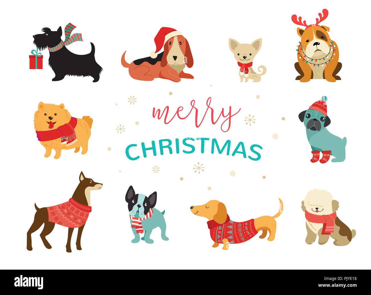 Colección de perros de Navidad, Feliz Navidad ilustraciones de tiernas  mascotas con accesorios como un knited gorras, suéteres, bufandas Imagen  Vector de stock - Alamy