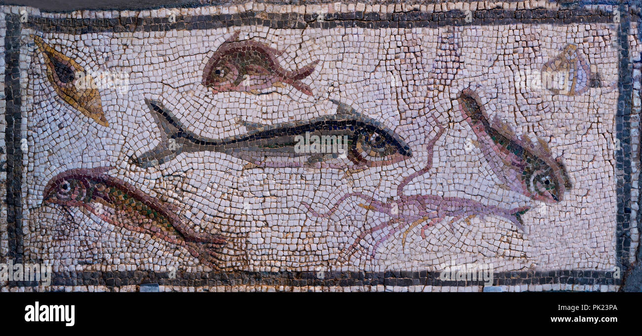 Mosaico romano Panel mostrando peces, Antioquía, Turquía, siglo III D.C., Art Institute of Chicago, Chicago, Illinois, EE.UU., América del Norte, Foto de stock