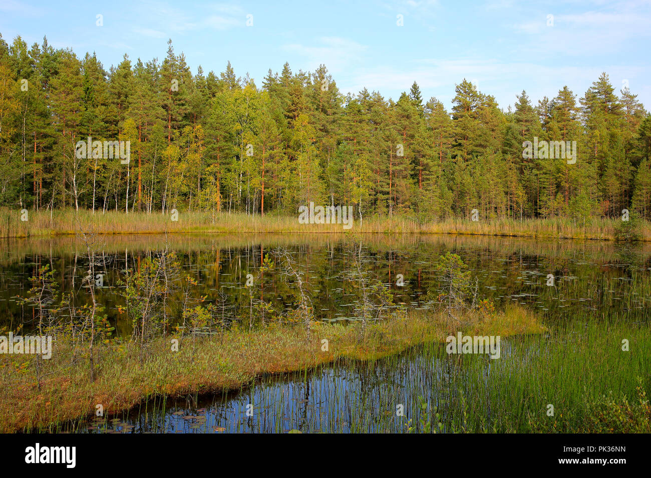 Paisaje de marismas pequeño lago en un día soleado de principios de otoño, en el suroeste de Finlandia. Foto de stock