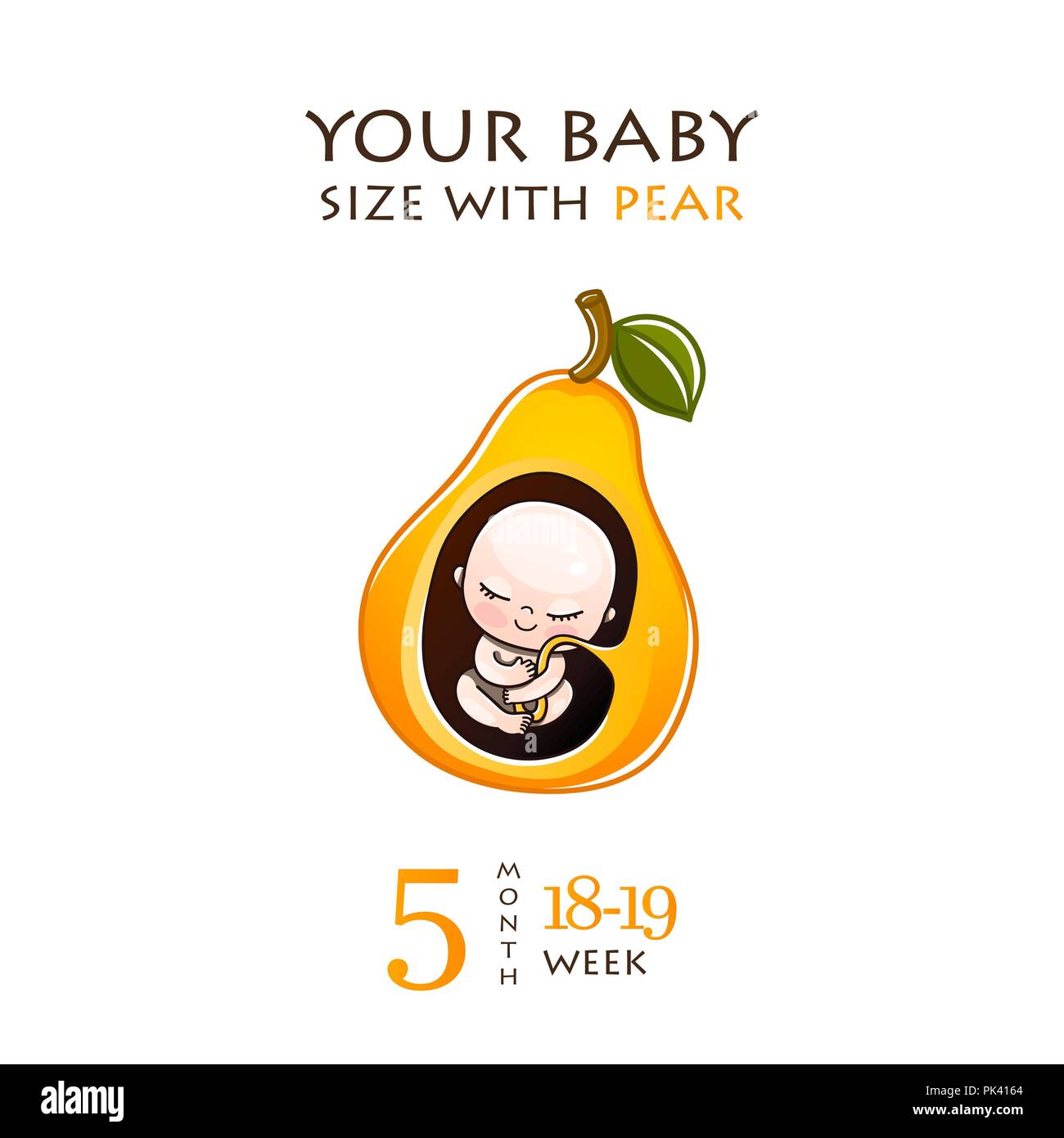 Etapas del desarrollo embarazo, el tamaño del embrión durante semanas. Derechos del feto dentro del útero de a 9 meses.ilustraciones vectoriales Imagen Vector de Alamy