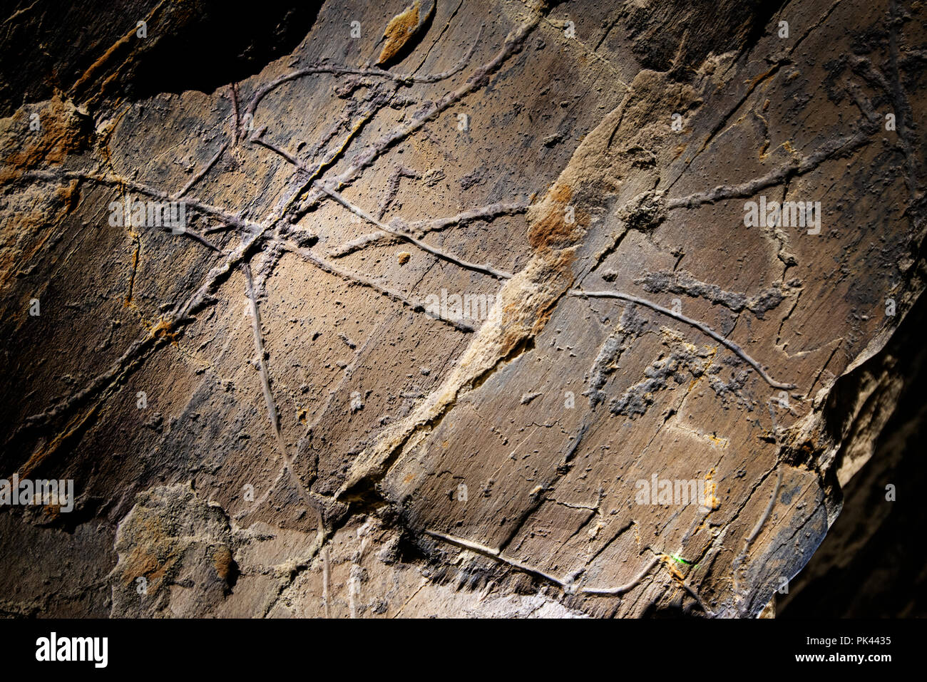El arte rupestre prehistórico del Valle del COA, Parque Arqueológico ( Parque Arqueologico do Vale do Côa), un sitio de Patrimonio Mundial de la UNESCO. Vila Nova de Foz Côa, Alto D Foto de stock
