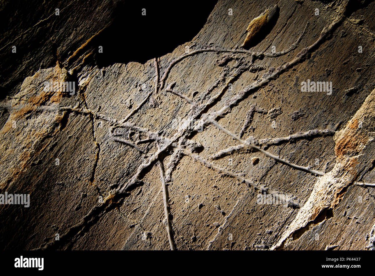 El arte rupestre prehistórico del Valle del COA, Parque Arqueológico ( Parque Arqueologico do Vale do Côa), un sitio de Patrimonio Mundial de la UNESCO. Vila Nova de Foz Côa, Alto D Foto de stock