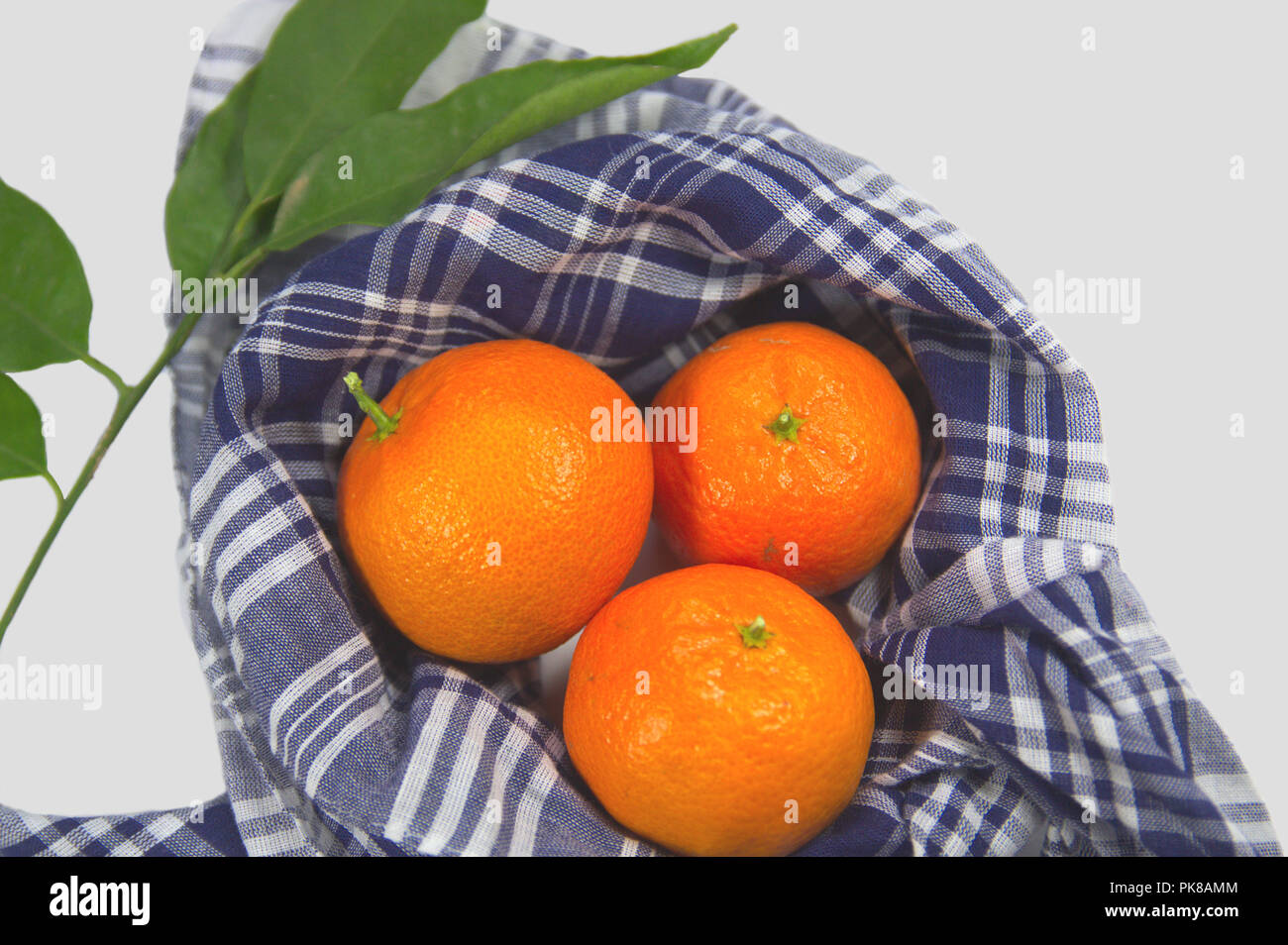 Tres mandarinas envuelto con un pañuelo típicos valencianos acompañados por  una rama con naranja verde de naranjas leavesGroup decorado con naranja  Fotografía de stock - Alamy