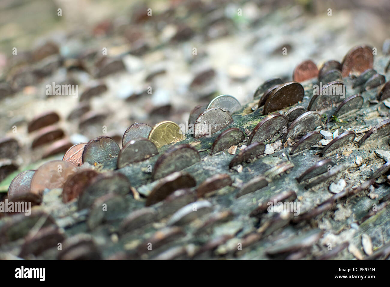 Monedas en un deseo de Árbol árbol - St Nectans Glen, Cornwall UK Foto de stock