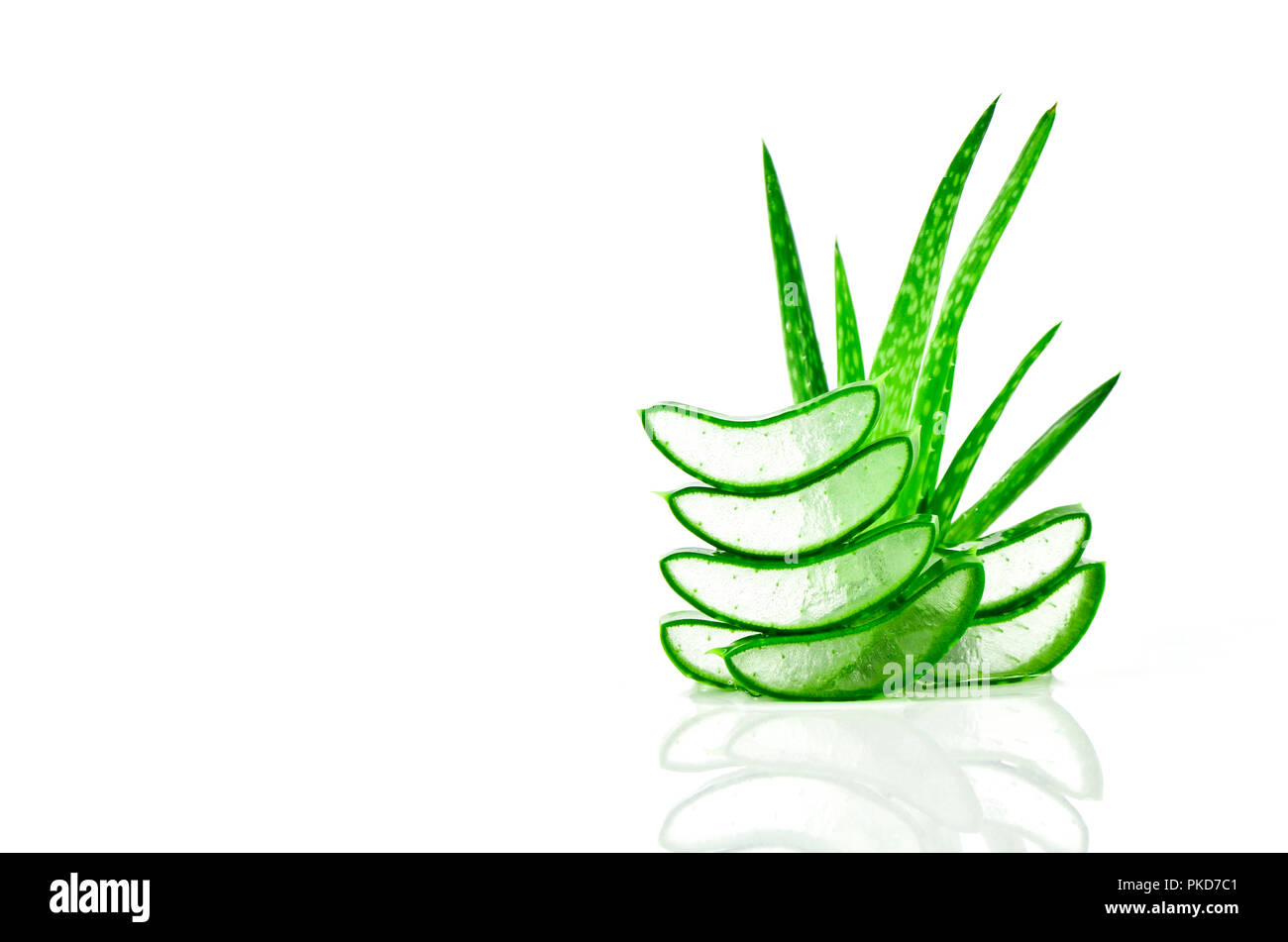 Slice Aloe Vera (Aloe barbadensis Mill.,Star cactus, Aloe, aloina, Jafferabad o Barbados) muy útil hierbas medicinales para el cuidado de la piel y cuidado del cabello. Foto de stock
