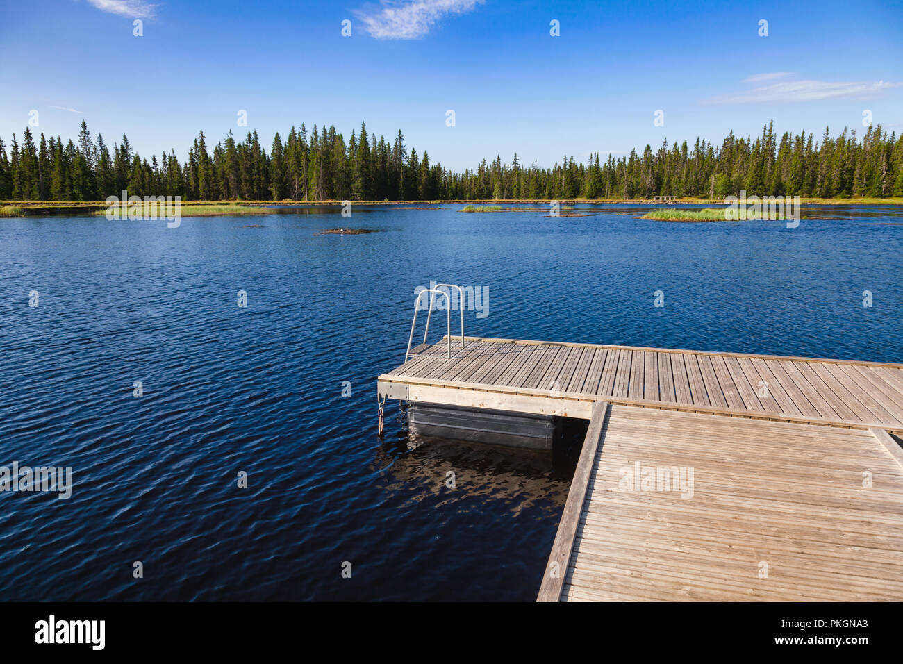 Piscina flotante balsa dock en un lago del bosque en el centro de Noruega Foto de stock