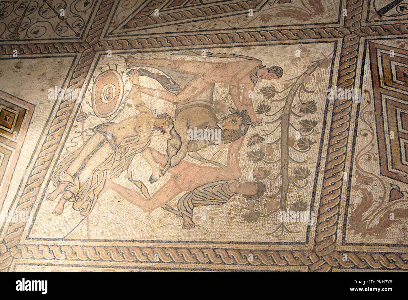 Mosaico romano antiguo en la ciudad de Pula, en Croacia. Suelo de mosaico el Castigo de Dirce Foto de stock