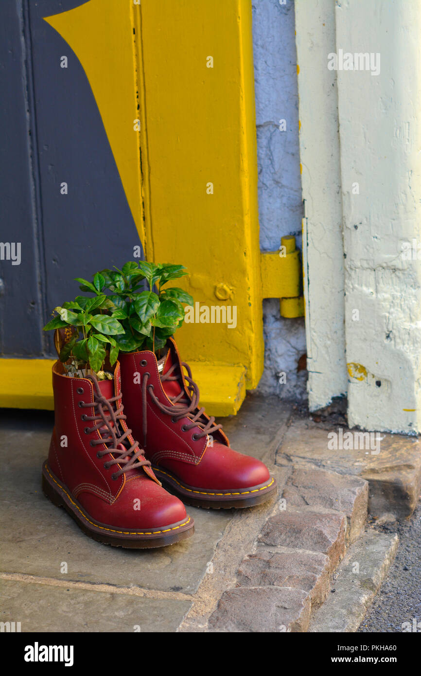 Un par de botas Martens en rojo con plantas creciendo de ellos fuera de un café en Northampton, Reino Unido Fotografía de stock -