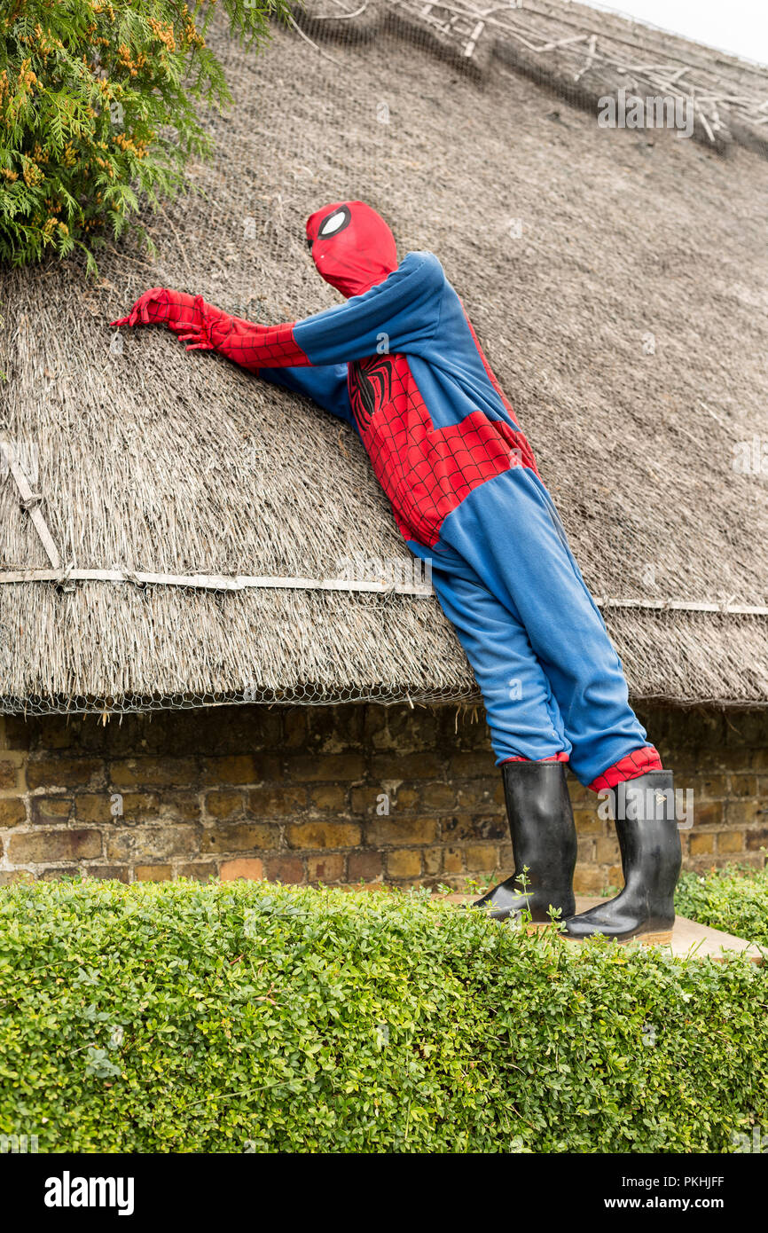 Una caricatura llena de paja figura retrata el hombre araña en el  tradicional Festival anual de High Wych espantapájaros - Essex, Reino Unido  Fotografía de stock - Alamy