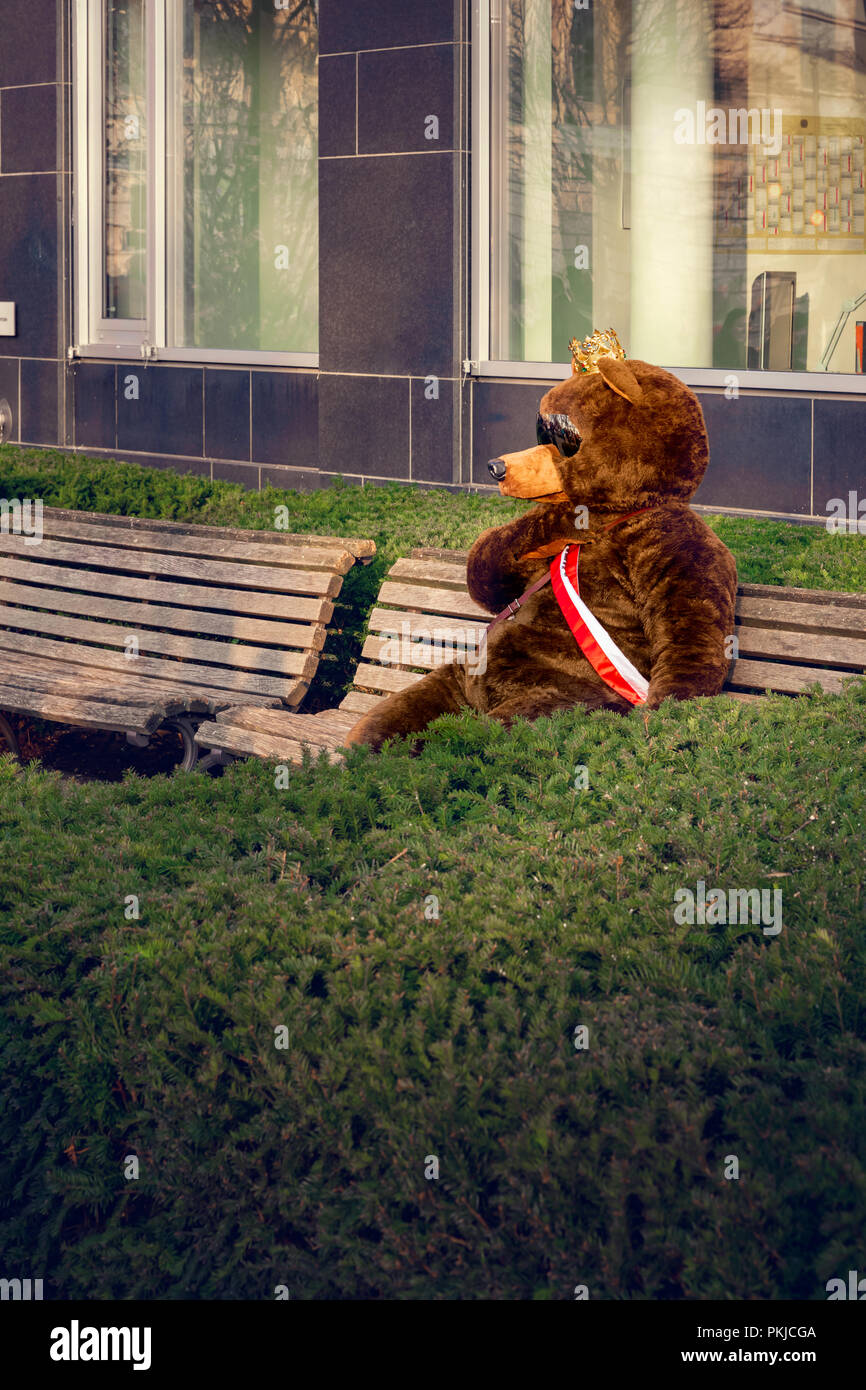 https www alamy es oso pardo sentado en el banco verde detras de bush fotografia hecha antes de la celebracion del ano nuevo en berlin image218607882 html